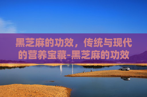 黑芝麻的功效，传统与现代的营养宝藏-黑芝麻的功效?