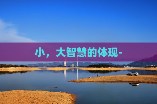 小，大智慧的体现-