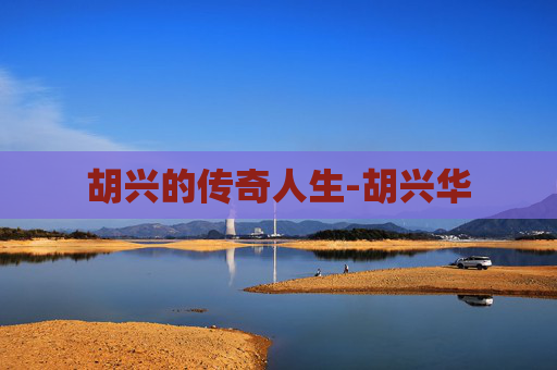 胡兴的传奇人生-胡兴华