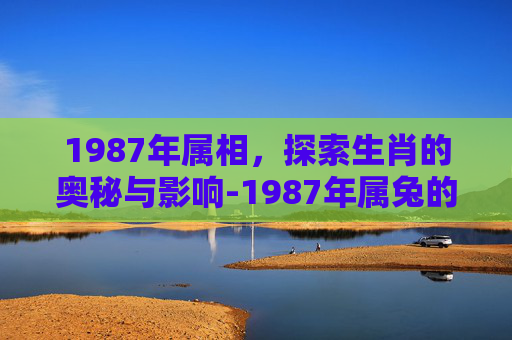 1987年属相，探索生肖的奥秘与影响-1987年属兔的五行