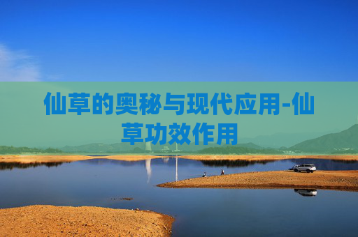 仙草的奥秘与现代应用-仙草功效作用