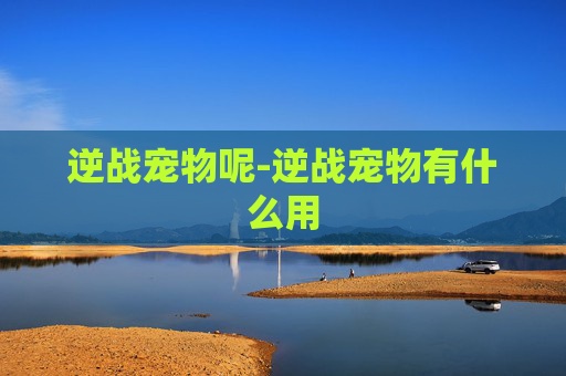 逆战宠物呢-逆战宠物有什么用