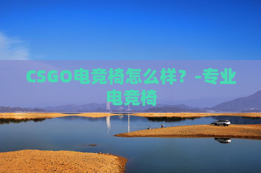 CSGO电竞椅怎么样？-专业电竞椅