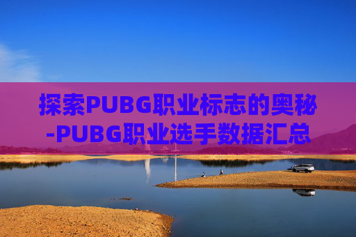 探索PUBG职业标志的奥秘-PUBG职业选手数据汇总