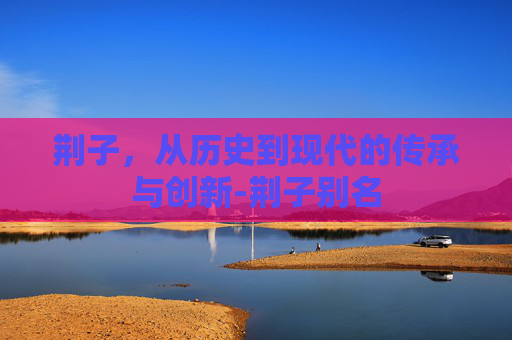 荆子，从历史到现代的传承与创新-荆子别名