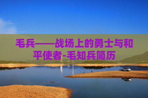 毛兵——战场上的勇士与和平使者-毛知兵简历