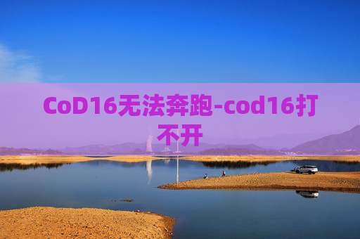 CoD16无法奔跑-cod16打不开