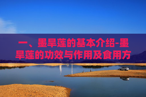一、墨旱莲的基本介绍-墨旱莲的功效与作用及食用方法
