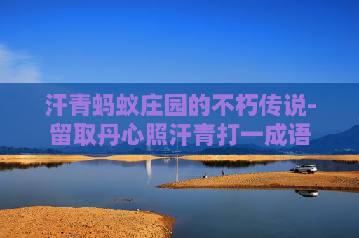 汗青蚂蚁庄园的不朽传说-留取丹心照汗青打一成语