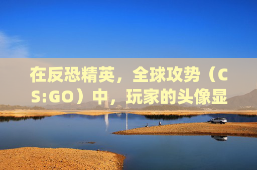 在反恐精英，全球攻势（CS:GO）中，玩家的头像显示问题是一个常见的困扰。本文将探讨为什么某些玩家在游戏内不显示自己的头像，以及如何解决这个问题。-csgo自己不显示头像了