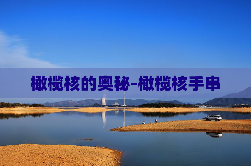 橄榄核的奥秘-橄榄核手串