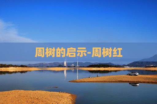 周树的启示-周树红