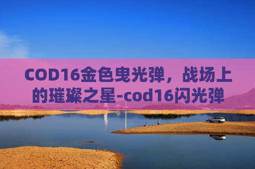COD16金色曳光弹，战场上的璀璨之星-cod16闪光弹怎么用