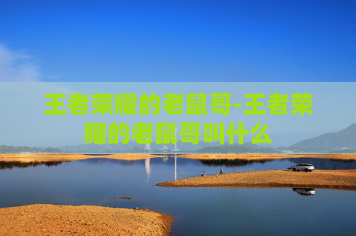 王者荣耀的老鼠哥-王者荣耀的老鼠哥叫什么