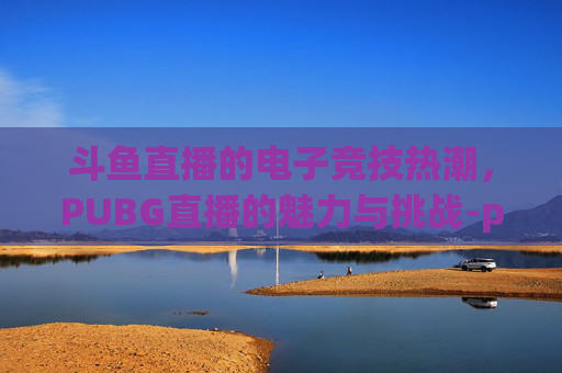 斗鱼直播的电子竞技热潮，PUBG直播的魅力与挑战-pubg斗鱼t