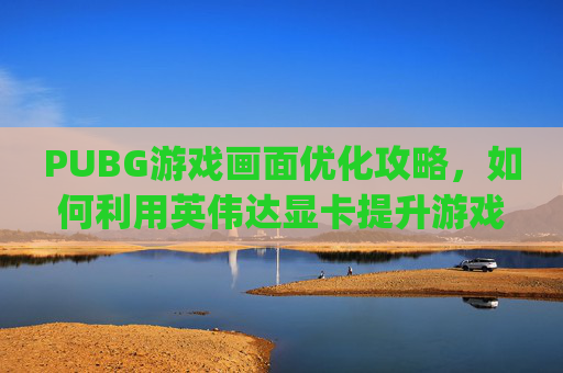 PUBG游戏画面优化攻略，如何利用英伟达显卡提升游戏体验-pubg英伟达控制面板怎么设置