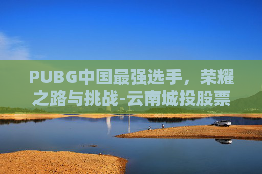 PUBG中国最强选手，荣耀之路与挑战-云南城投股票历史交易数据