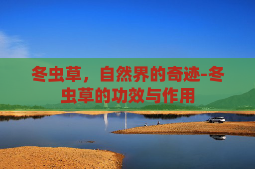 冬虫草，自然界的奇迹-冬虫草的功效与作用