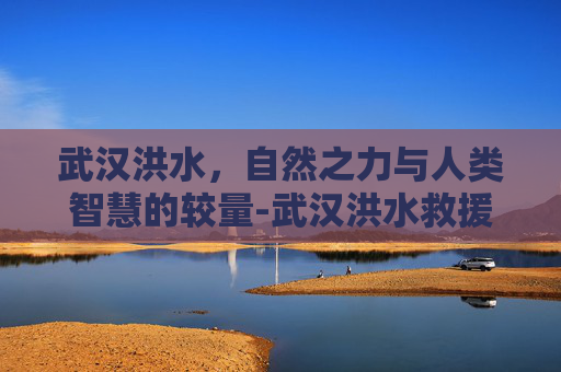 武汉洪水，自然之力与人类智慧的较量-武汉洪水救援行动