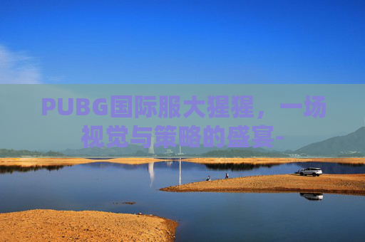PUBG国际服大猩猩，一场视觉与策略的盛宴-