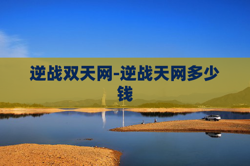 逆战双天网-逆战天网多少钱