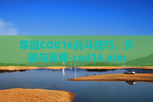 掌握COD16战斗技巧，步骤与策略-cod16 xim