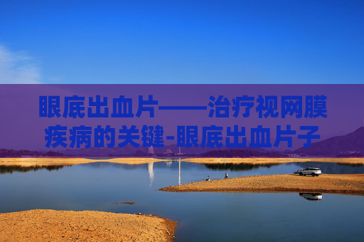 眼底出血片——治疗视网膜疾病的关键-眼底出血片子怎么看