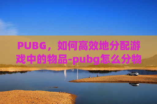 PUBG，如何高效地分配游戏中的物品-pubg怎么分物品数量