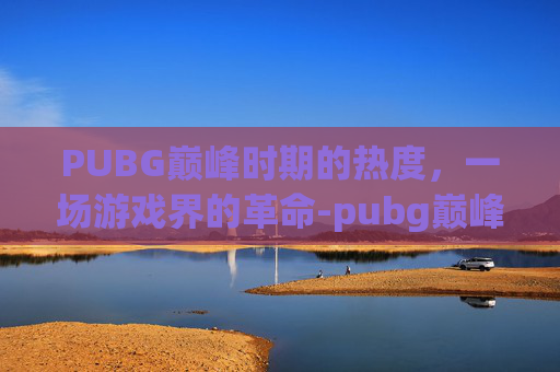 PUBG巅峰时期的热度，一场游戏界的革命-pubg巅峰日活人数