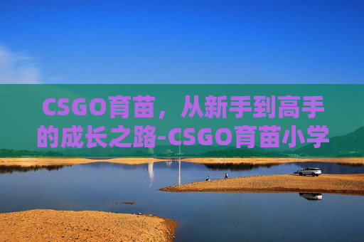 CSGO育苗，从新手到高手的成长之路-CSGO育苗小学小曲