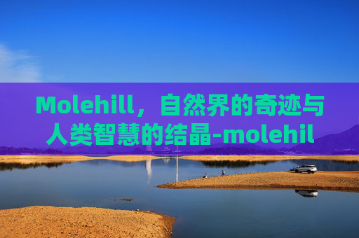 Molehill，自然界的奇迹与人类智慧的结晶-molehill翻译成英语