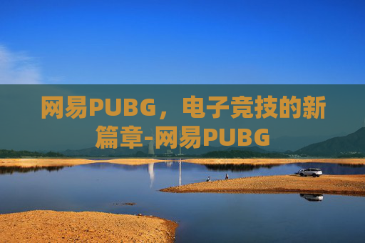 网易PUBG，电子竞技的新篇章-网易PUBG