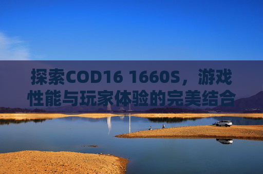 探索COD16 1660S，游戏性能与玩家体验的完美结合-