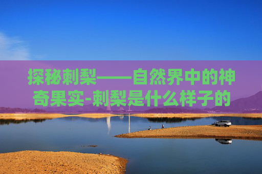 探秘刺梨——自然界中的神奇果实-刺梨是什么样子的