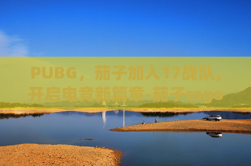 PUBG，茄子加入17战队，开启电竞新篇章-茄子csgo