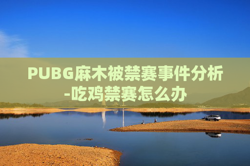 PUBG麻木被禁赛事件分析-吃鸡禁赛怎么办