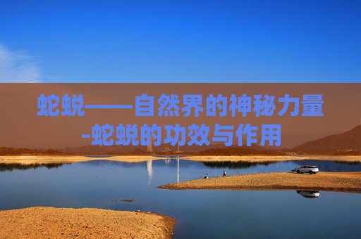 蛇蜕——自然界的神秘力量-蛇蜕的功效与作用