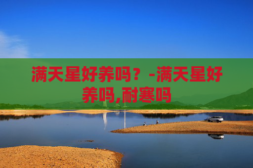 满天星好养吗？-满天星好养吗,耐寒吗