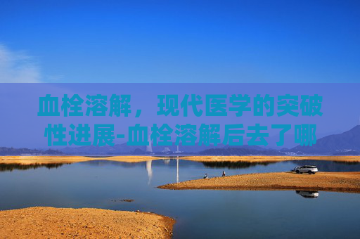 血栓溶解，现代医学的突破性进展-血栓溶解后去了哪里