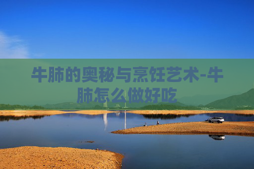 牛肺的奥秘与烹饪艺术-牛肺怎么做好吃