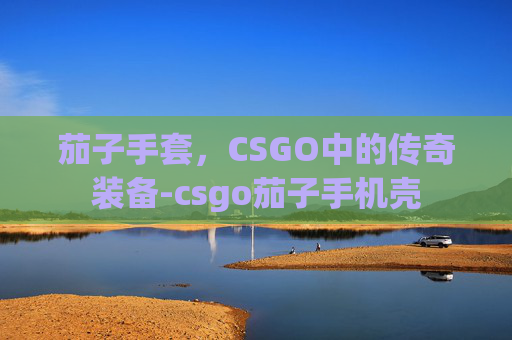 茄子手套，CSGO中的传奇装备-csgo茄子手机壳
