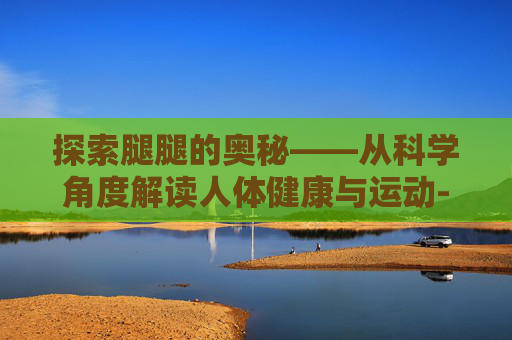 探索腿腿的奥秘——从科学角度解读人体健康与运动-腿腿被刺原因