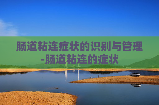 肠道粘连症状的识别与管理-肠道粘连的症状