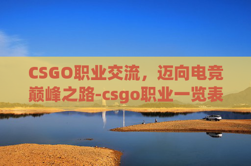 CSGO职业交流，迈向电竞巅峰之路-csgo职业一览表
