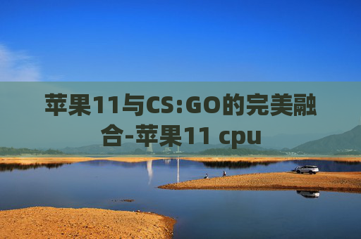 苹果11与CS:GO的完美融合-苹果11 cpu