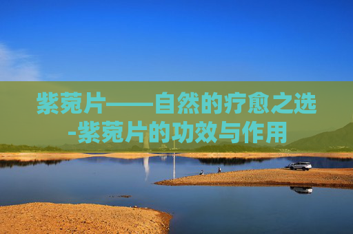 紫菀片——自然的疗愈之选-紫菀片的功效与作用