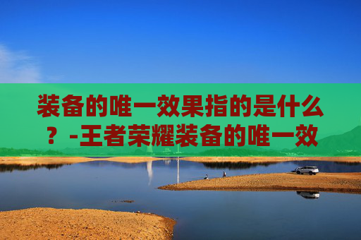 装备的唯一效果指的是什么？-王者荣耀装备的唯一效果是指