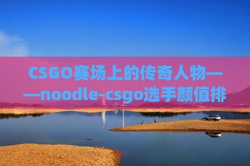 CSGO赛场上的传奇人物——noodle-csgo选手颜值排名