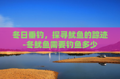 冬日垂钓，探寻鱿鱼的踪迹-冬鱿鱼需要钓鱼多少