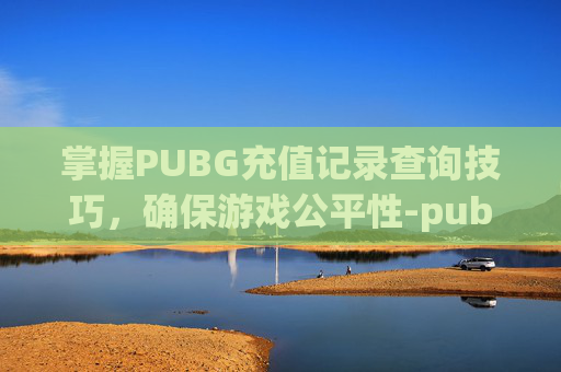 掌握PUBG充值记录查询技巧，确保游戏公平性-pubgmobile如何查找充值记录